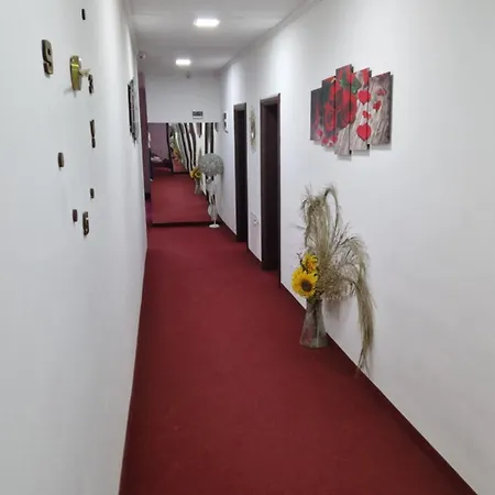 Dreams Hostel Novi Travnik