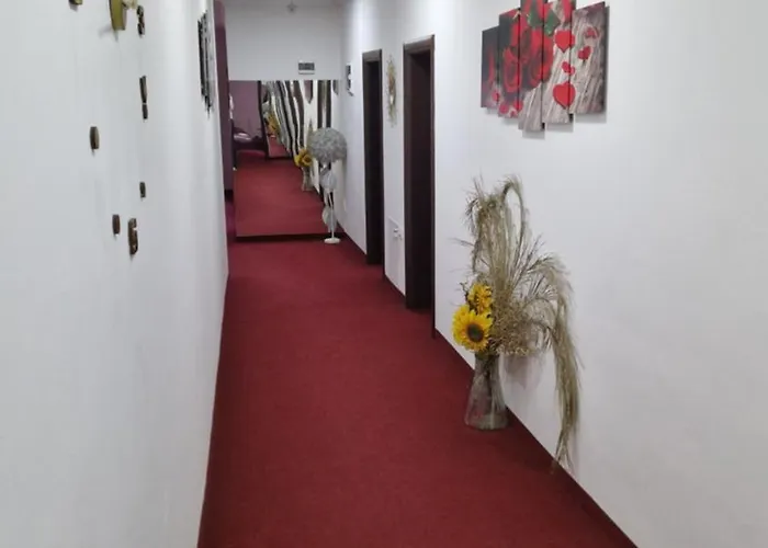 Dreams Hostel Novi Travnik